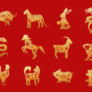 Astrologie Chinoise