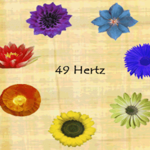 Carte d'Identité Vibratoire