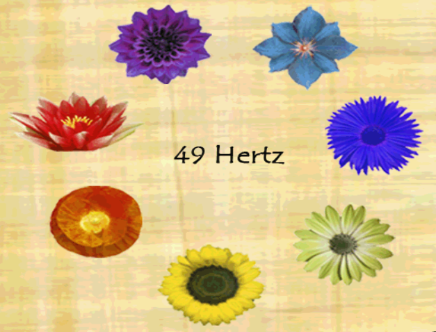 Carte d'Identité Vibratoire